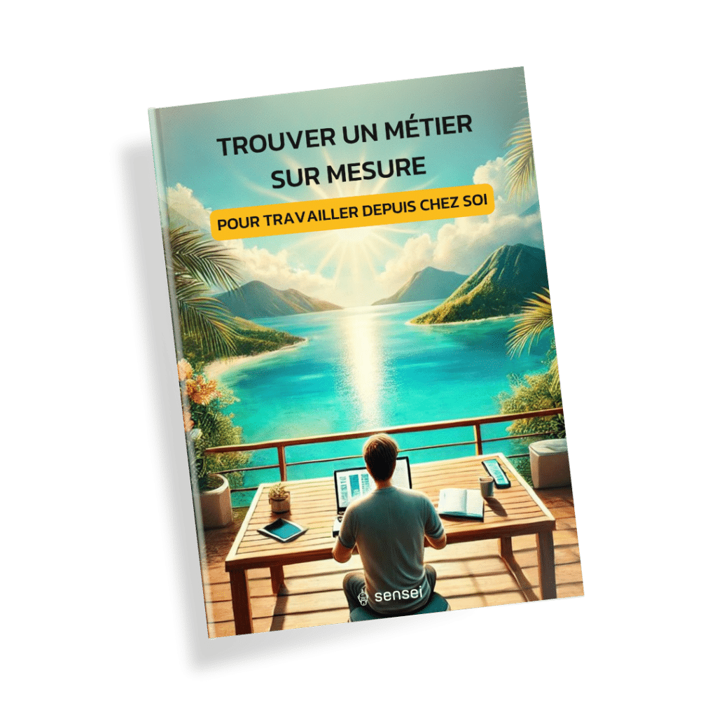 ebook travailler à distance