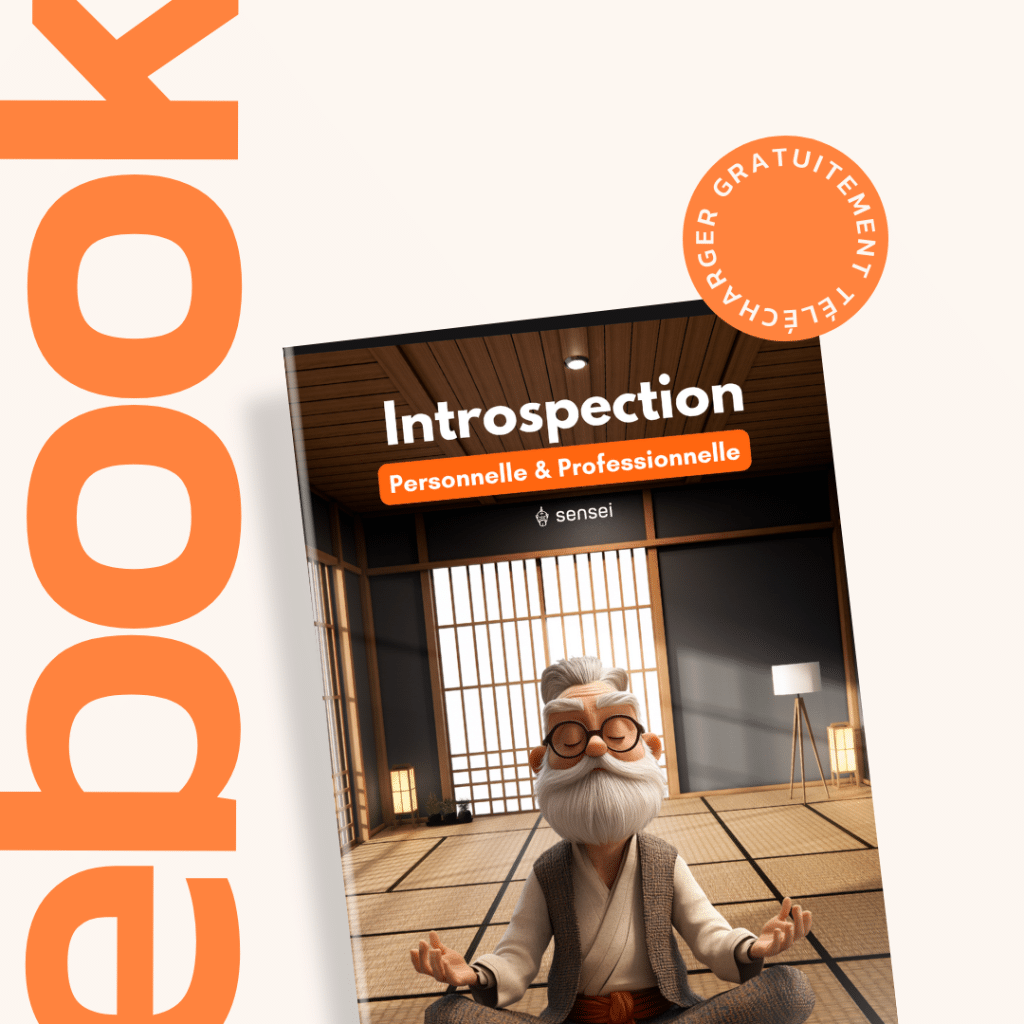 ebook introspection